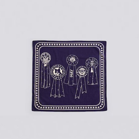 zzHAY - Recycled Dogs Scarf 55 x 55 (Dark Blue)