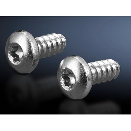 Rittal 2486.600 vis et boulon 300 pièce(s)