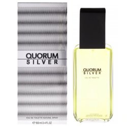 Quorum Silver by Antonio Puig Eau de Toilette Spray for Men 3.4 oz