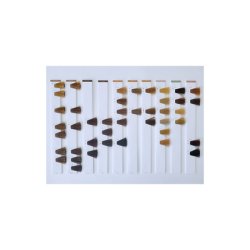Schwarzkopf Strähnenupdate Zero Ammonia for Premium Color Chart