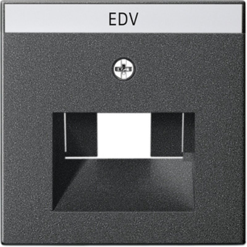 GIRA 028428 Abdeckung BSF UAE/IAE/ISDN System 55 anthrazit