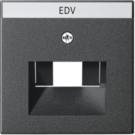 GIRA 028428 Plaque de commutation et obturateur Anthracite