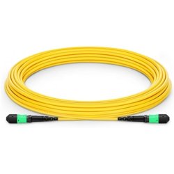 NVIDIApassfbrcbl SMF MPO12 APC MPO12 20m