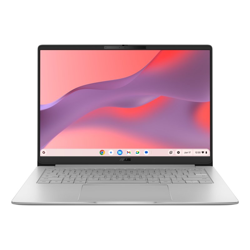 Chromebook CM14 (CM1406CM4A-LY0050) (platin, MediaTek Kompanio 540, Mali-G57 MC2, 8 GB LPDDR5X, 128 GB (128 GB eMMC),