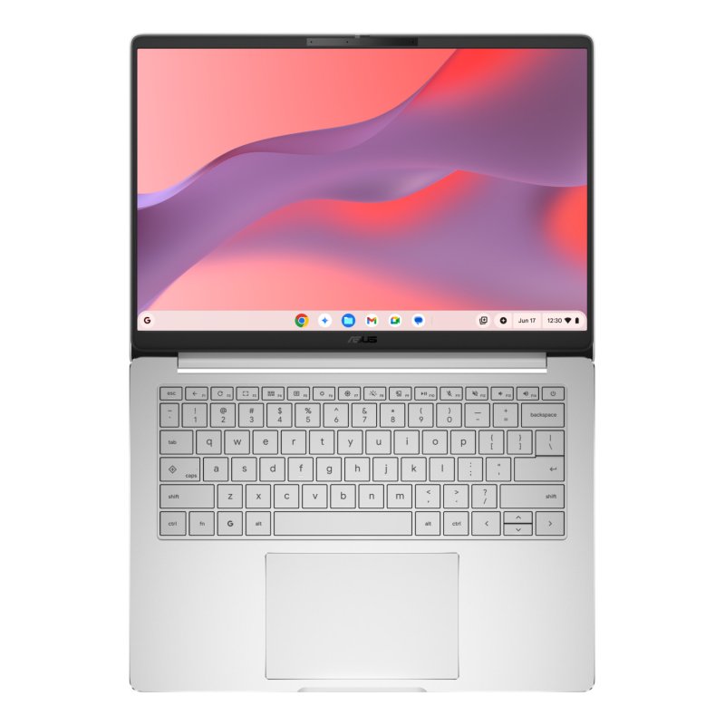 Chromebook CM14 (CM1406CM4A-LY0050) (platin, MediaTek Kompanio 540, Mali-G57 MC2, 8 GB LPDDR5X, 128 GB (128 GB eMMC),