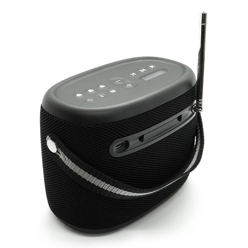 Pure Woodland wasserdichter Outdoor-Lautsprecher mit FM/DAB Radio, schwarz
