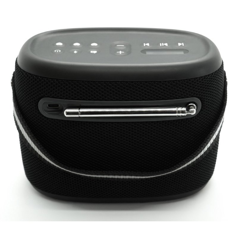 Pure Woodland wasserdichter Outdoor-Lautsprecher mit FM/DAB Radio, schwarz