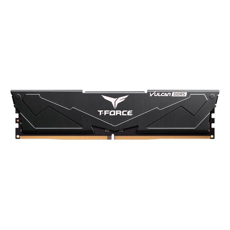 Team Group FLBD516G6000HC38A01 memory module 16 GB 1 x 16 GB DDR5 288-pin DIMM ECC