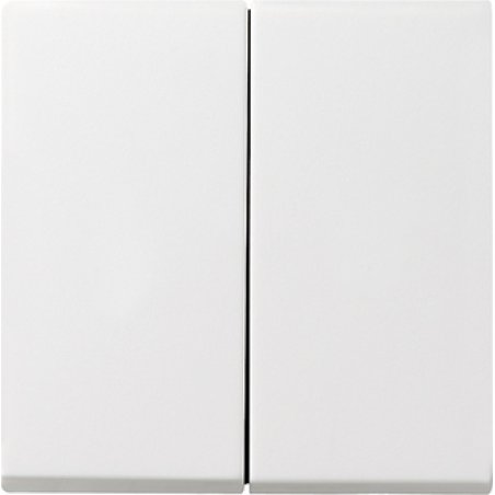 GIRA 029503 Wippe 2fach System 55 Reinwei glnzend