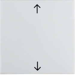 Berker 16208919 Wippe mit Aufdruck Symbol polarweiss glänzend