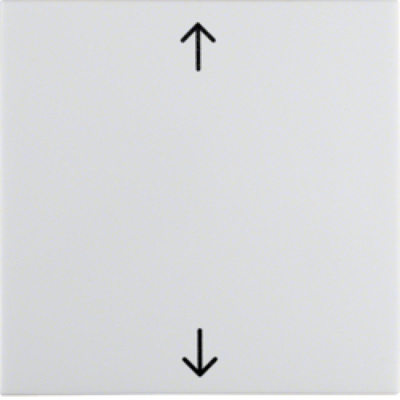 Berker 16208919 Wippe mit Aufdruck Symbol polarweiss glänzend