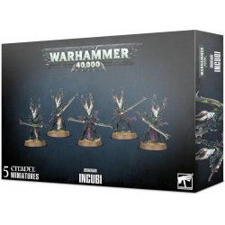 Warhammer 40k - Drukhari Incubi