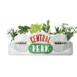 FRIENDS - Central Perk - Pot de fleurs / Vase de table