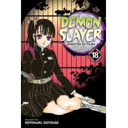 DEMON SLAYER - Tome 18
