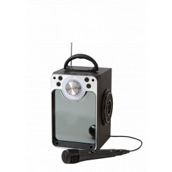 Karaoke Machine W/Bluetooth (30135)