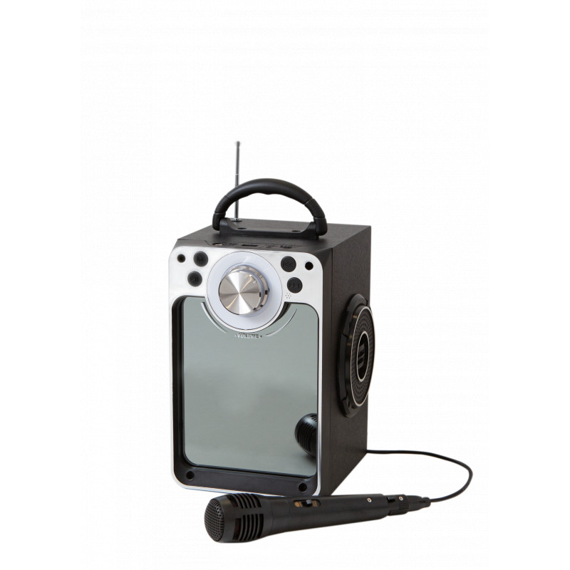 Karaoke Machine W/Bluetooth (30135)