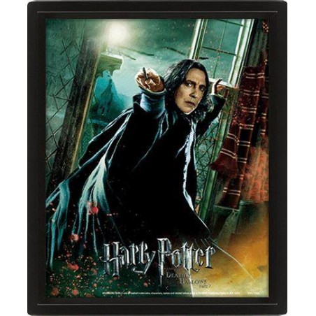 HARRY POTTER - Deathly Hallows - Poster lenticulaire 3D 26x20cm