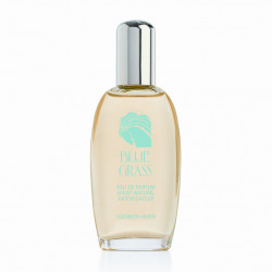 Elizabeth Arden compatible - Blue Grass EDP 100 ml