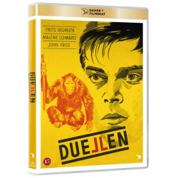 Duellen