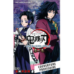 DEMON SLAYER - Artbook - Tome 3