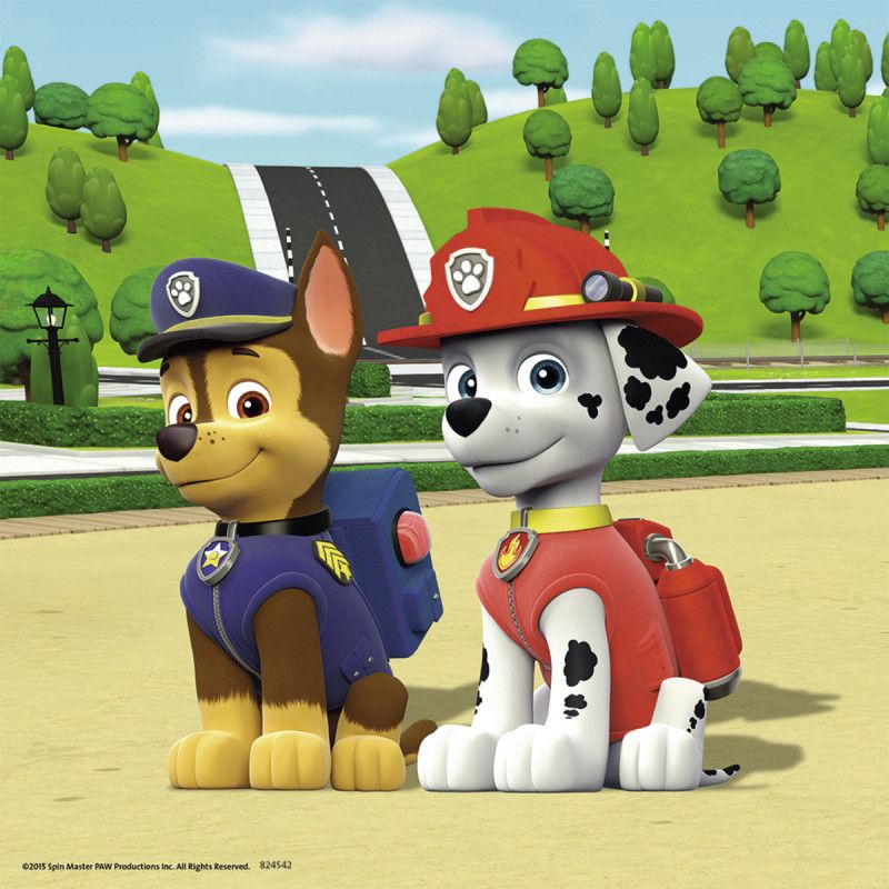 RAV Puzzle PAW: Team auf 4 Pfoten | 092390