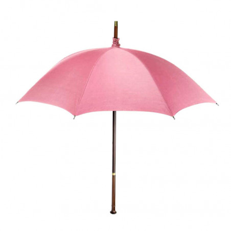 Harry Potter - Rubeus Hagrid Umbrella Wand In Collectors Box  (NN7865)