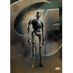 ROGUE ONE KEY FORCES - Magnetic Metal Poster 45x32 - K-2SO