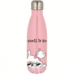 SIMPLE METAL BOTTLE-DISNEY MARIE