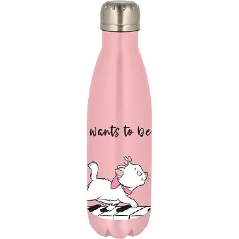 SIMPLE METAL BOTTLE-DISNEY MARIE