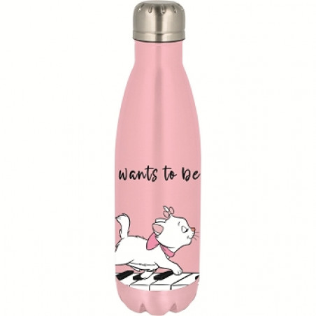SIMPLE METAL BOTTLE-DISNEY MARIE
