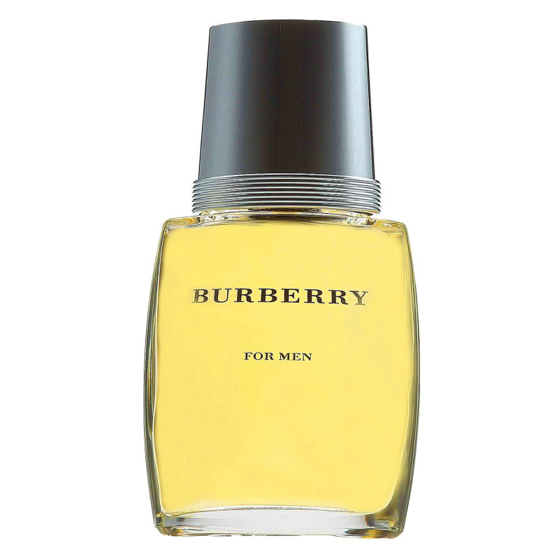 Burberry compatible - Classic for Men EDT 100 ml