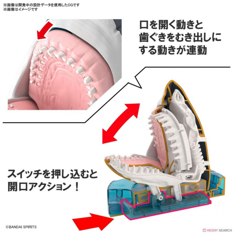 EXPLORING LAB NATURE - Great White Shark - Model Kit