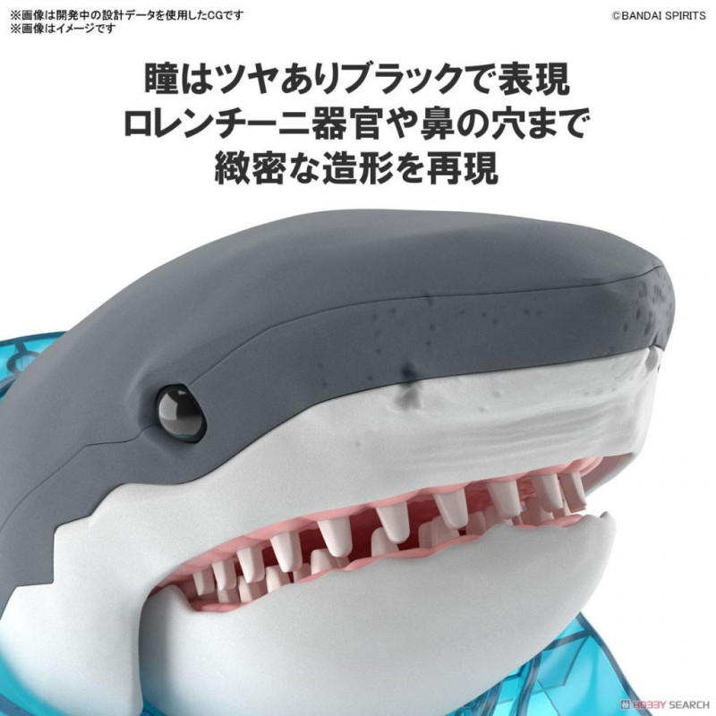 EXPLORING LAB NATURE - Great White Shark - Model Kit