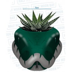 HARRY POTTER - Serpentard - Pot Pour Plante