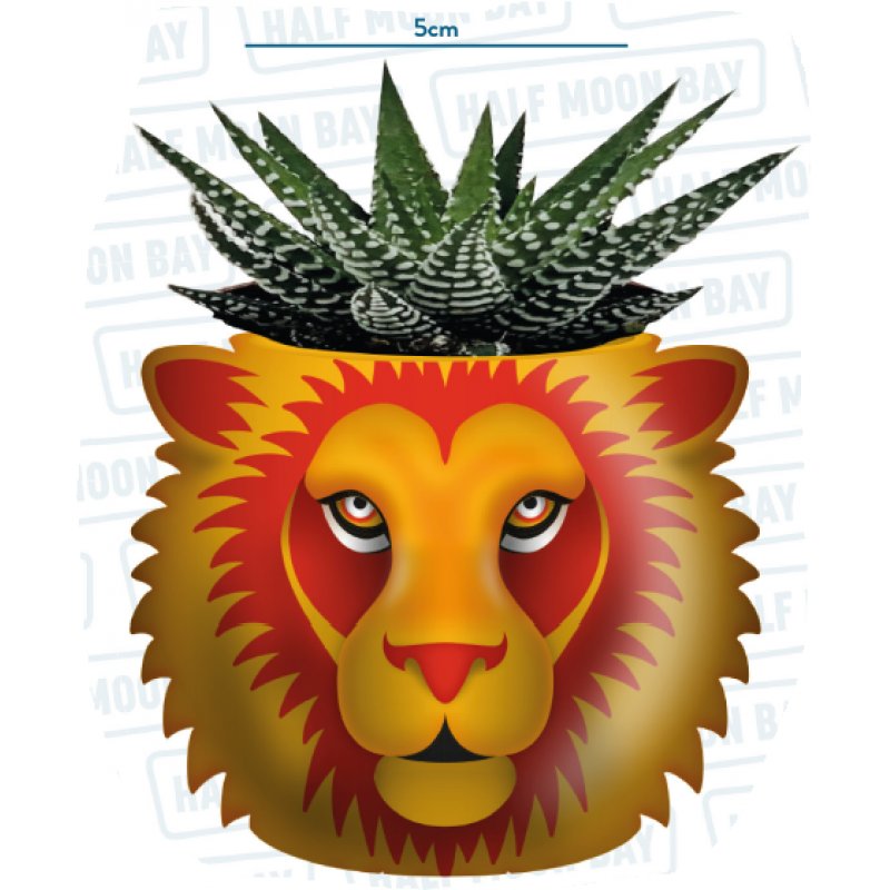 HARRY POTTER - Gryffondor - Pot Pour Plante