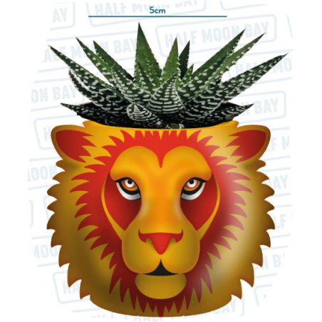 HARRY POTTER - Gryffondor - Pot Pour Plante