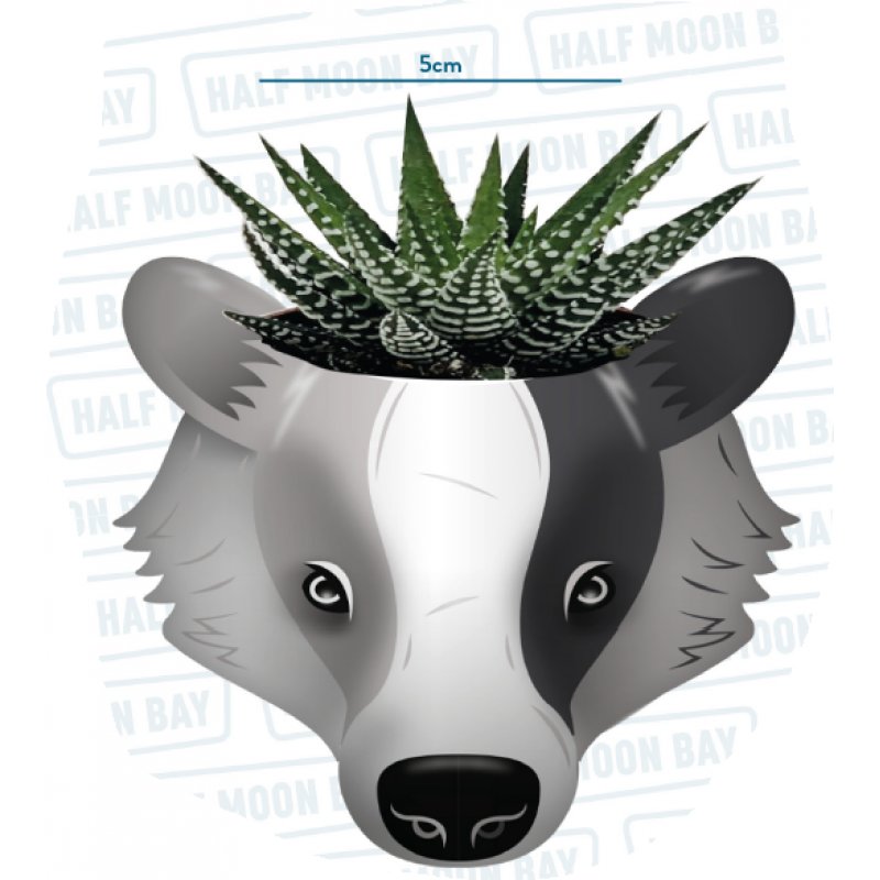 HARRY POTTER - Poufsouffle - Pot Pour Plante