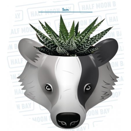 HARRY POTTER - Poufsouffle - Pot Pour Plante