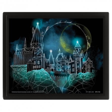 HARRY POTTER CADRE 3D LENTICULAIRE GEOMETRIC HOGWARTS