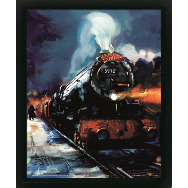 HARRY POTTER CADRE 3D LENTICULAIRE HOGWARTS EXPRESS