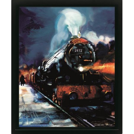 HARRY POTTER CADRE 3D LENTICULAIRE HOGWARTS EXPRESS
