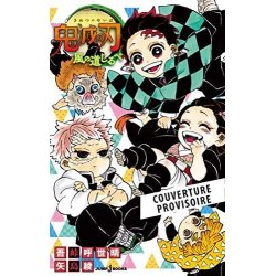 DEMON SLAYER - Roman T3