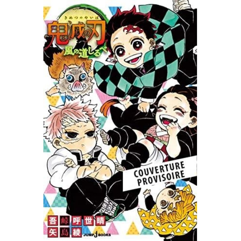 DEMON SLAYER - Roman T3