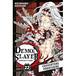 DEMON SLAYER - Tome 22