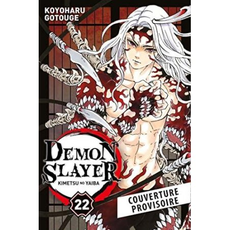 DEMON SLAYER - Tome 22
