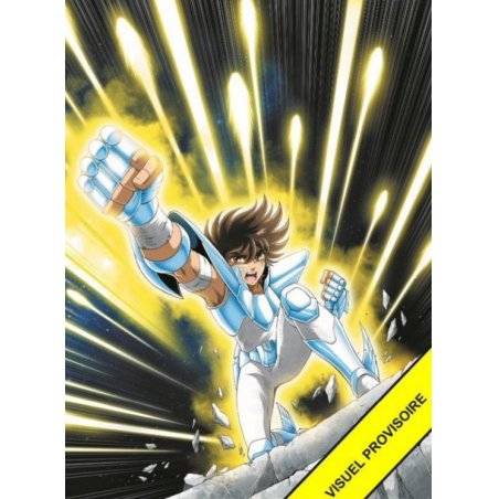 SAINT SEIYA - La BD - Tome 1