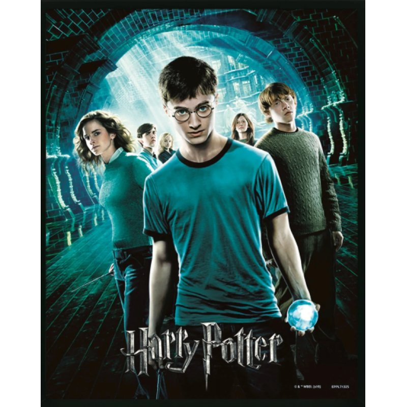 HARRY POTTER - L'ordre du Phénix - 3D Lenticular Poster 26X4