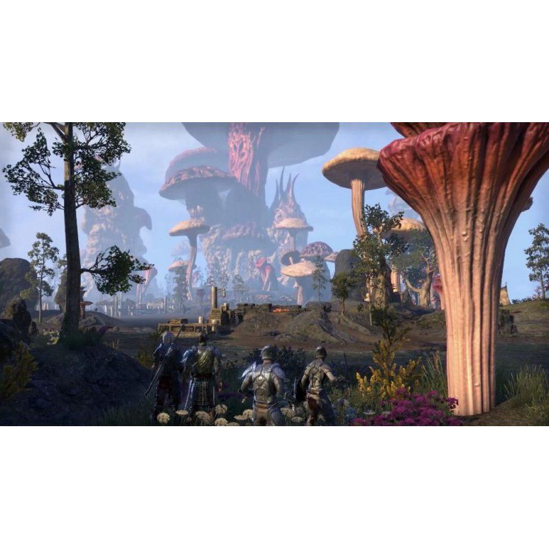 Bethesda The Elder Scrolls Online: Morrowind, Xbox One