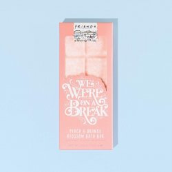 FRIENDS - We were on a break - Bath Bar