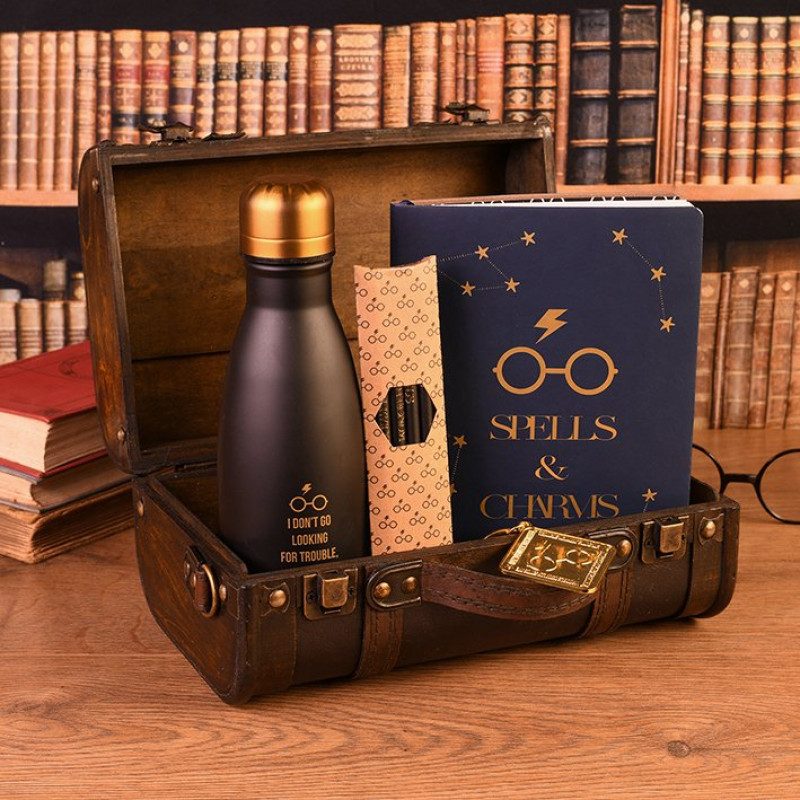HARRY POTTER - Trouble Finds Me - Valise gift set premium